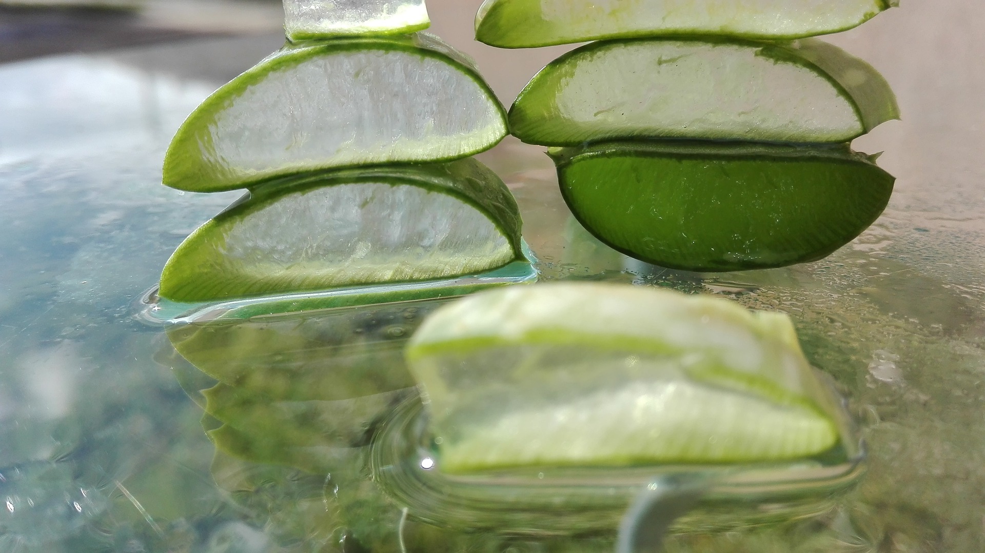 Aloe Vera | Reinhardts Naturprodukte Online Shop